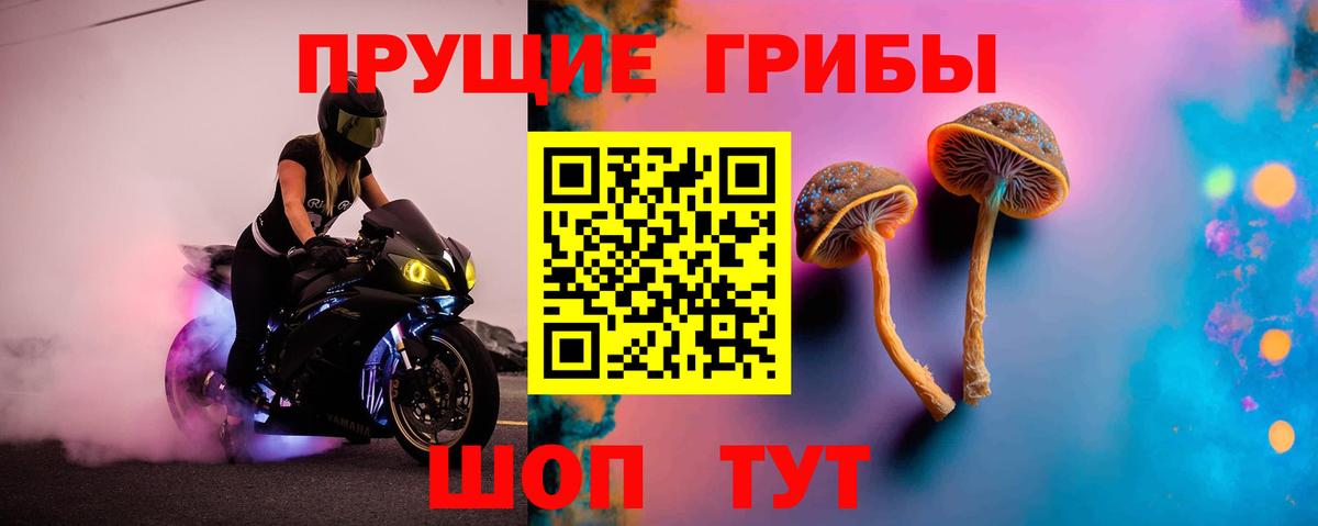 Реутов  Псилоцибиновые грибы прущие грибы  Вход с VPN  Галлюциногенные грибы GOLDEN TEACHER 