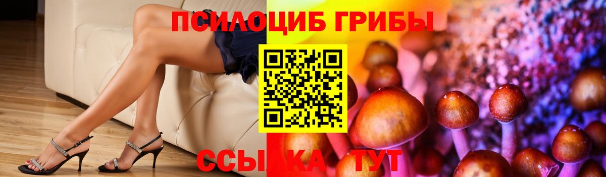 Галлюциногенные грибы мухоморы Реутов